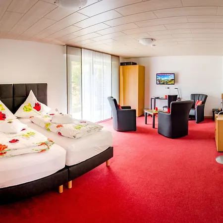 Otel Hotelpension Schroeder Willingen (Upland)